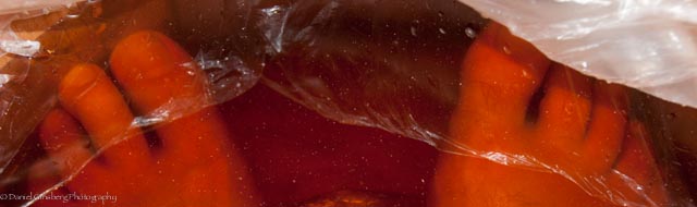 20121109_SF-China_0420