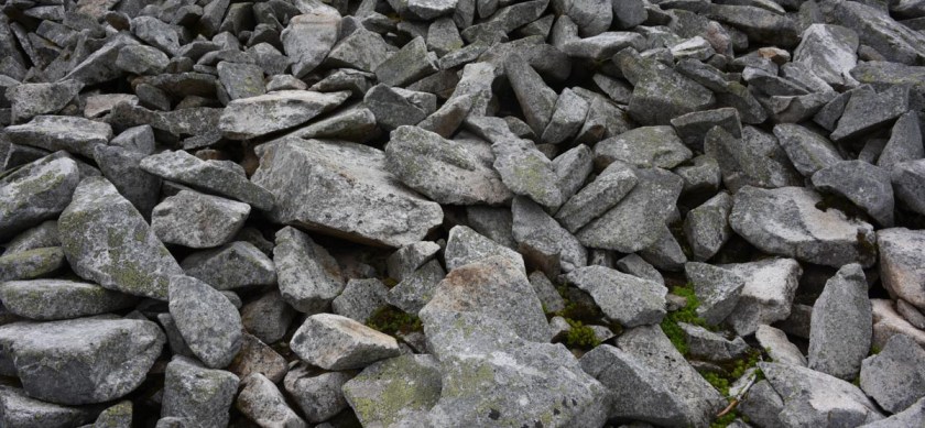 Copyright 2105 Daniel Ginsberg Photography