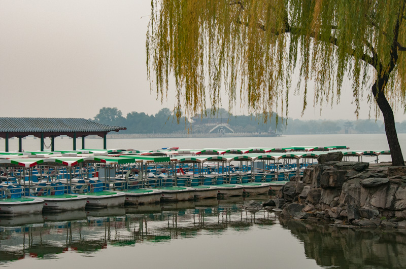 20121109_SF-China_0365